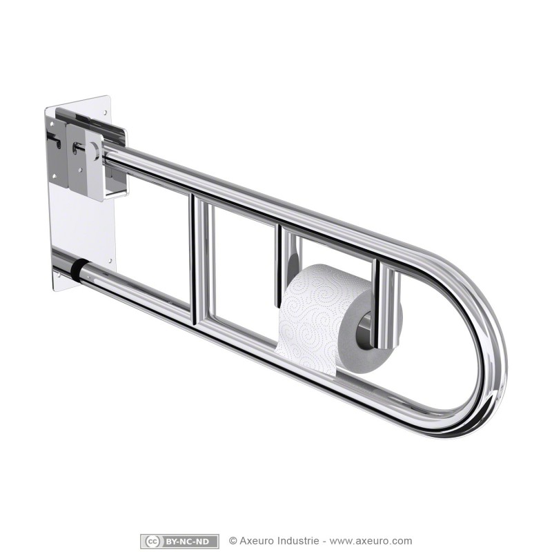 Swing Up Grab Bar With Toilet Tissue Holder